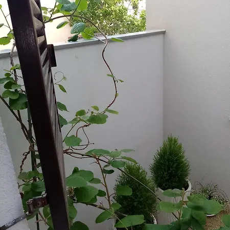 Apartmán Mimi Veruda Porat *