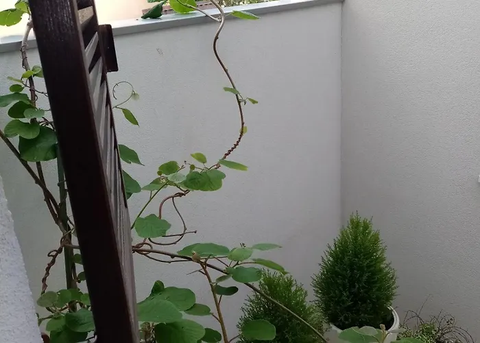 Apartament Mimi Veruda Porat *