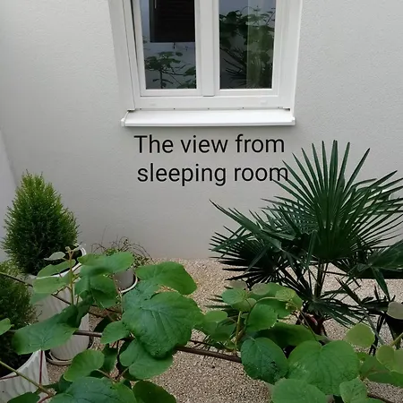 Mimi Veruda Porat