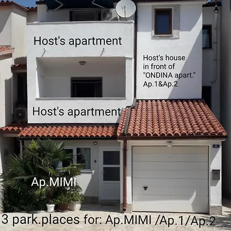 Mimi Veruda Porat *