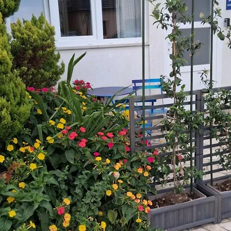 Mimi Veruda Porat *